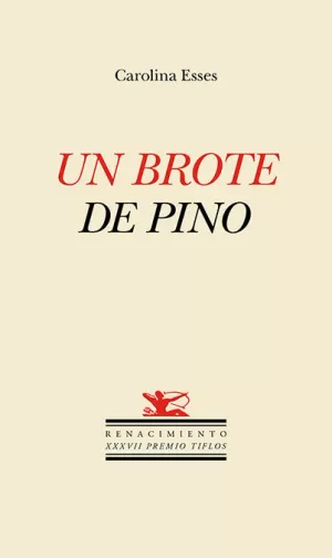 UN BROTE DE PINO