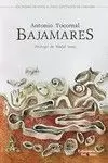 BAJAMARES BAJAMARES