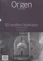 ORIGEN 20 CEREBRO HUMANO, EL