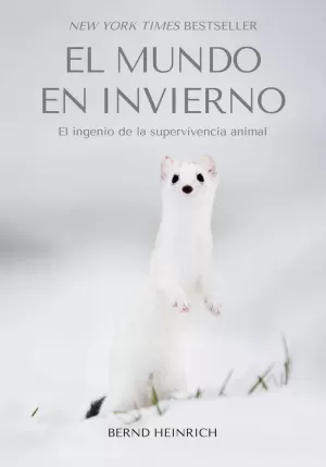 MUNDO EN INVIERNO