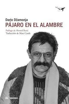 PÁJARO EN EL ALAMBRE