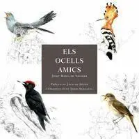 MIS AMIGOS LOS PAJAROS