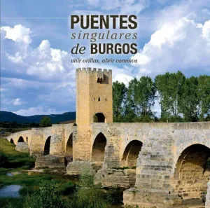 PUENTES SINGULARES DE BURGOS