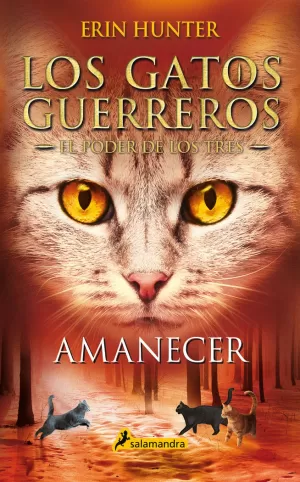 LOS GATOS GUERREROS  EL PODER DE LOS TRES 6 - AMANECER