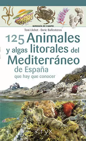 125 ANIMALES Y ALGAS LITORALES DEL MEDITERRÁNEO DE ESPAÑA QUE HAY QUE CONOCER