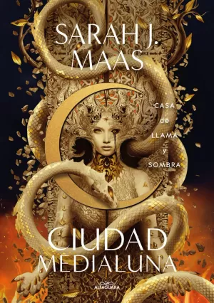 CIUDAD MEDIALUNA 3. CASA DE LLAMA Y SOMBRA CIUDAD MEDIALUNA 3. CASA DE LLAMA Y SOMBRA