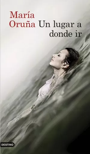 UN LUGAR A DONDE IR UN LUGAR A DONDE IR