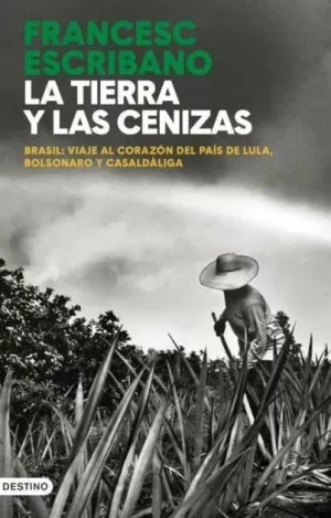 TIERRA Y LAS CENIZAS