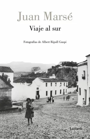 VIAJE AL SUR VIAJE AL SUR