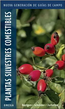 PLANTAS SILVESTRES COMESTIBLES PLANTAS SILVESTRES COMESTIBLES