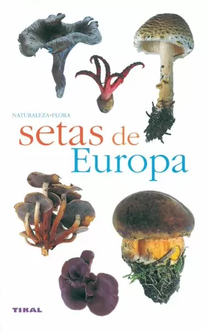 SETAS DE EUROPA SETAS DE EUROPA