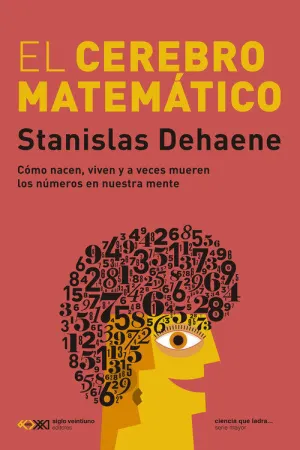 CEREBRO MATEMATICO