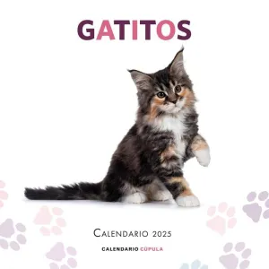 CALENDARIO GATITOS 2025 CALENDARIO GATITOS 2025