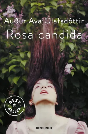 ROSA CANDIDA ROSA CANDIDA