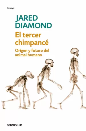 TERCER CHIMPANCE, EL. ORIGEN Y FUTURO DEL ANIMAL HUMANO
