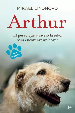 ARTHUR ARTHUR