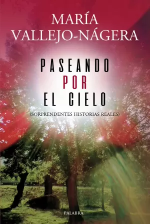 PASEANDO POR EL CIELO PASEANDO POR EL CIELO