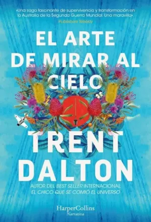 ARTE DE MIRAR AL CIELO, EL ARTE DE MIRAR AL CIELO, EL