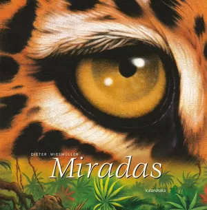 MIRADAS MIRADAS