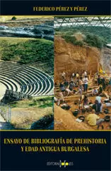 ENSAYO DE BIBLIOGRAFÍA DE PREHISTORIA Y EDAD ANTIGUA BURGALESA