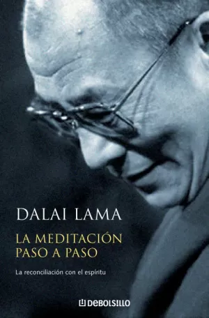 LA MEDITACIÓN PASO A PASO LA MEDITACIÓN PASO A PASO