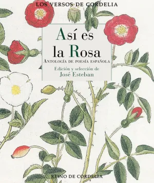 ASI ES LA ROSA