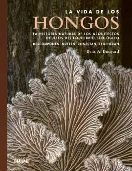 LA VIDA DE LOS HONGOS