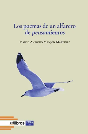 POEMAS DE UN ALFARERO DE PENSAMIENTOS, LOS